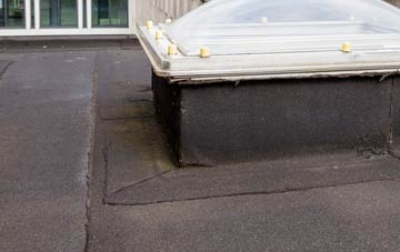 disadvantages of Smelthouses flat roofs