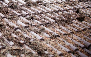 Smelthouses roof cleaning companies