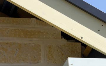 soffit repair Smelthouses